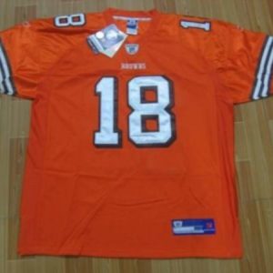 Brady Quinn Jersey #10 NFL Cleveland Browns Mitchell & Ness in Brown (As Is  Item) - Bed Bath & Beyond - 13554669